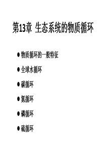 84生态系统的物质循环