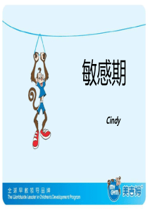 敏感期讲座课件