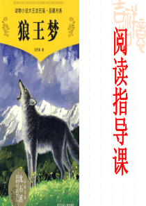 2017年狼王梦知识竞赛