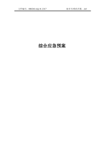 综合应急预案