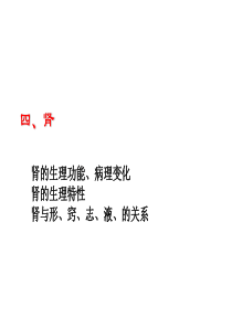 中医学课件   五脏-肾