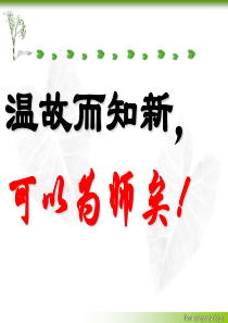 2013绿色植物与生物圈中的水循环