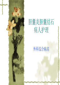 胆囊炎病人护理常(1)-PPT(精)
