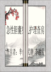胆囊穿孔护理查房