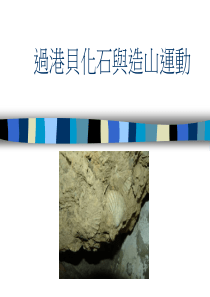 过港贝化石与造山运动.
