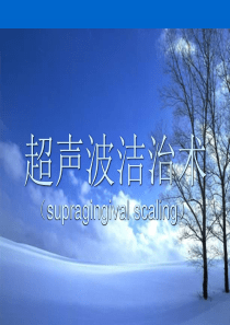 龈上洁治术超声
