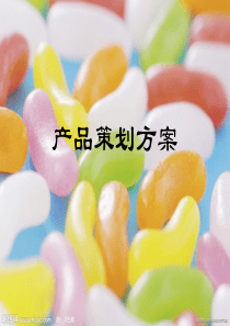 产品策划方案
