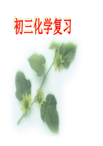 厨房中的化学复习课