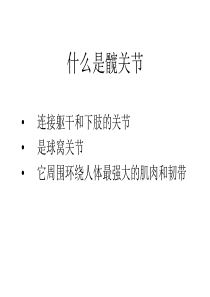 髋关节精美图片