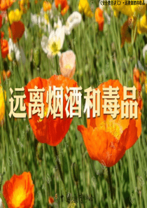1565远离烟酒和毒品