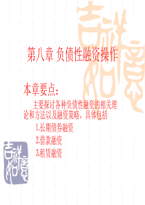 第八章：负债性融资操作