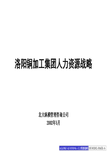 357BDZH--洛铜人力资源战略规划