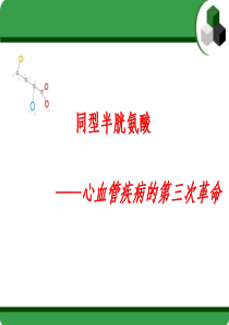 同型半胱氨酸――心血管革命――简约版7.29