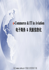电子商务与民航信息化(ppt 36)