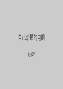 自己瞎攒的电脑