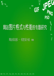 网站图片格式与性能的专题研究