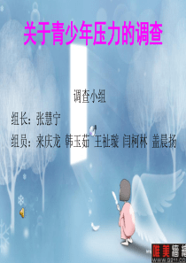 关于青少年压力的调查