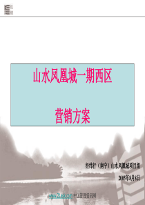 南宁山水凤凰城一期西区 营销方案