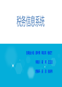税务信息系统..