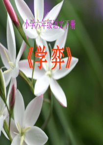 学弈PPT课件