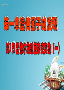 孟德尔的豌豆杂交实验一13.9