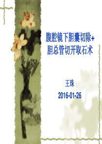 腹腔镜下胆囊切除+胆总管切开取石术护理配合