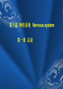 神经总论、脊髓、脑干外形