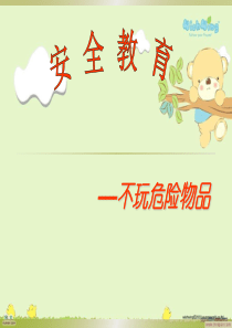 不玩危险物品ppt课件