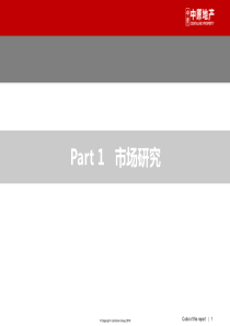 中原上海嘉鑫国际2013年营销方案