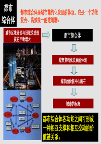 20091220_平台沉淀_综合体驱动模式研究_万晓慧