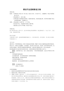 酒店开业营销策划方案