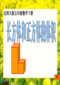 北师大版数学五年级下册《长方体和正方体的体积》课件1