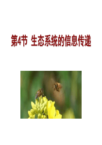 生态系统中的信息传递