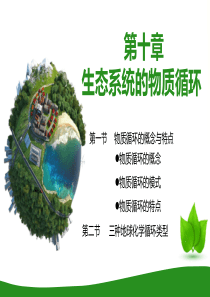 生态系统物质循环概述