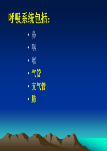 50呼吸系统常见肿瘤
