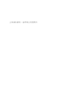 上海浦东金桥豪宅照片