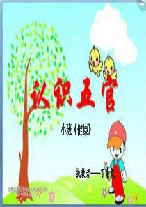 10小班健康认识五官(幼儿教育精品)
