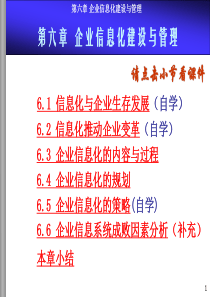 6企业信息化建设与管理