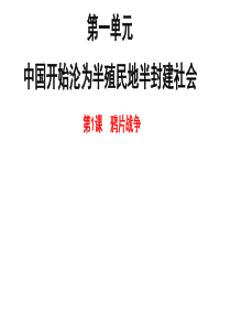 部编版八年级历史上册第1课  鸦片战争 (共29张PPT)