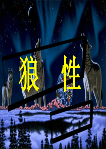 6酒店管理执行力打造狼性团队