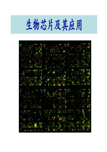 7 基因芯片