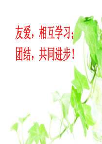 友爱-互相学习;团结-共同进步