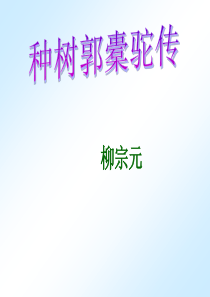 《种树郭橐驼传》原文及译文