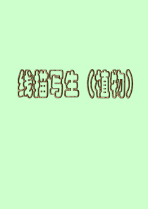 38盆栽植物(线描写生画)