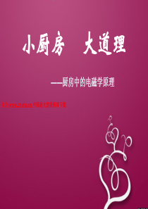 小厨房，大道理--厨房中的电磁学原理（PPT 28页）