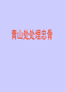 青山处处埋忠骨PPT (2)