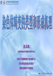 染色体畸变的类型和形成机理(打印版)