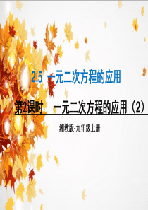 新湘教版九年级数学上册2.5--一元二次方程的应用(2)
