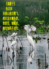 《-散文家谈散文》-课件