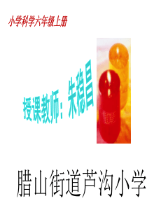 科学六年级上苏教版3.1蜡烛的变化课件4